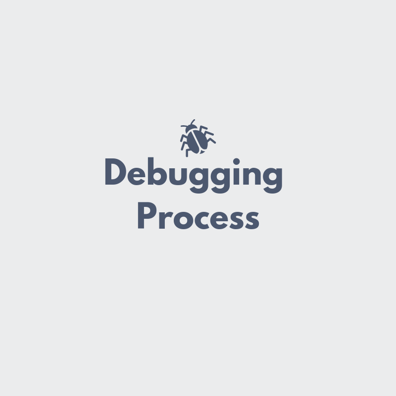 debugging process